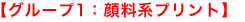 【グループ1:顔料系プリント】