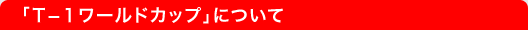 「T-1ワールドカップ」について